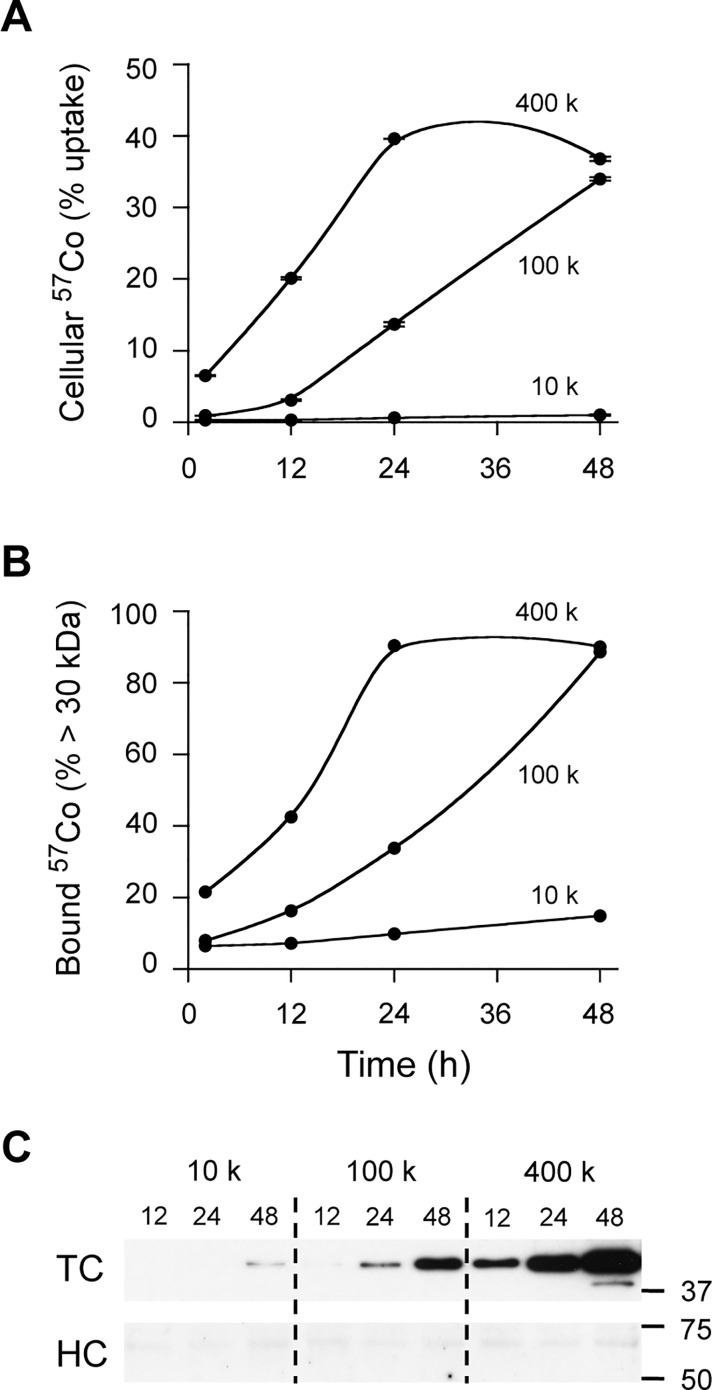 Fig 7