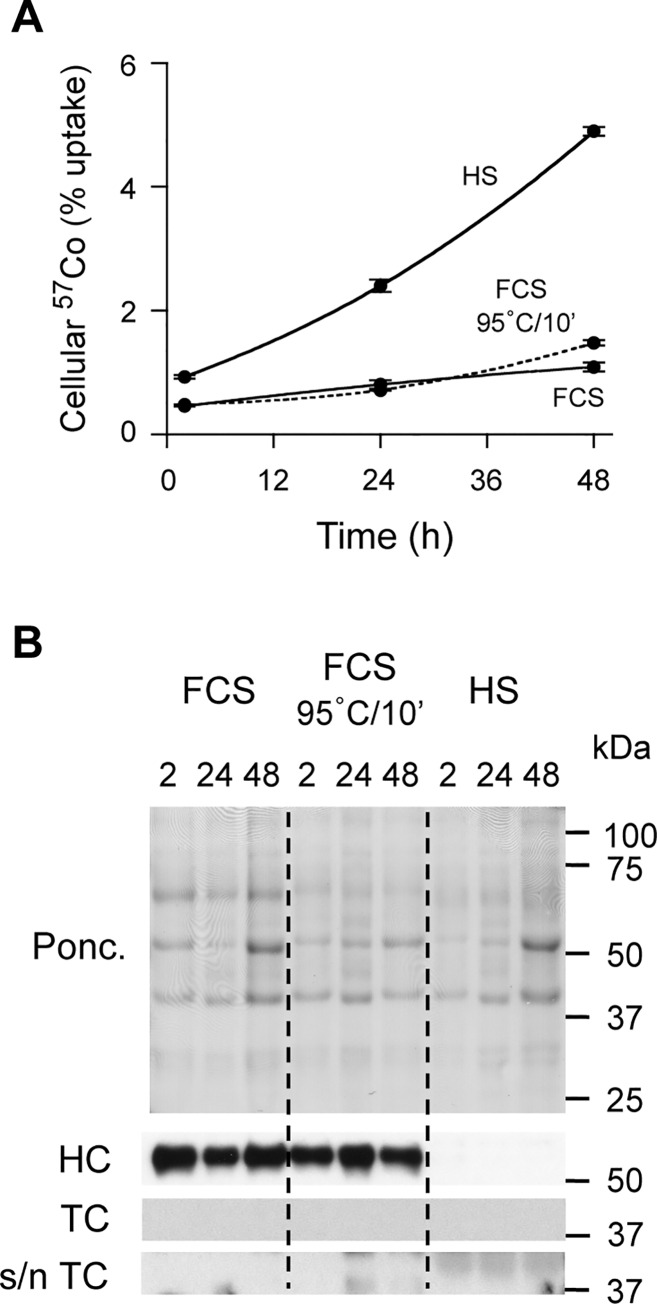 Fig 8