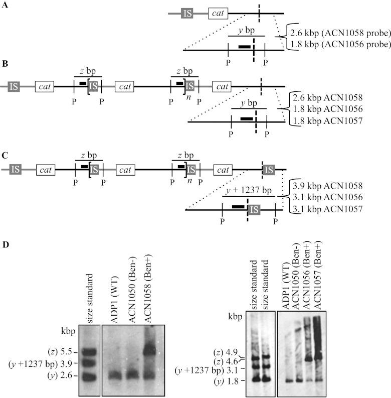 Fig 7