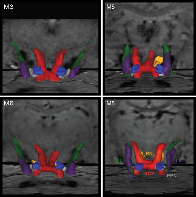 Fig 3