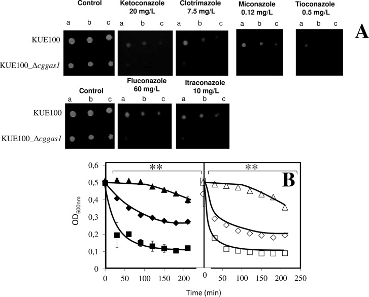 Fig. 8.