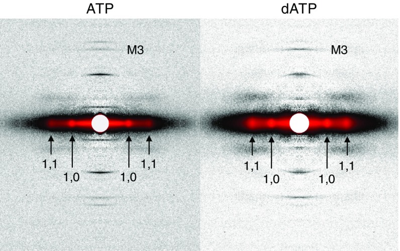 Fig. 3.