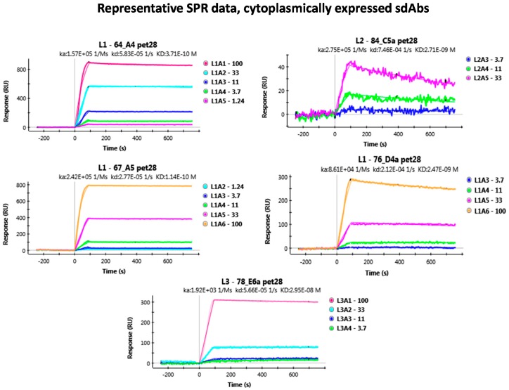 graphic file with name antibodies-07-00036-i002.jpg