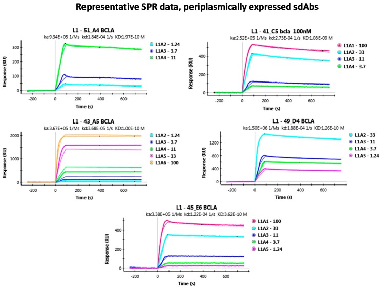 graphic file with name antibodies-07-00036-i001.jpg