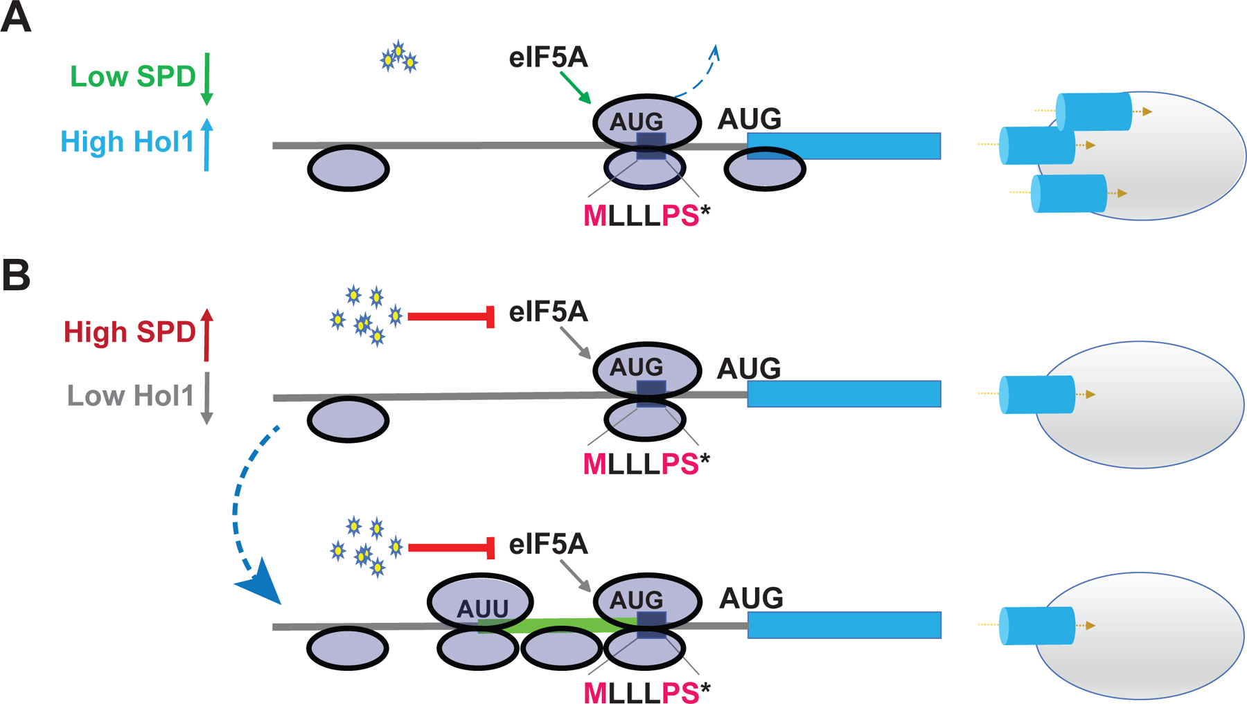 Figure 7.