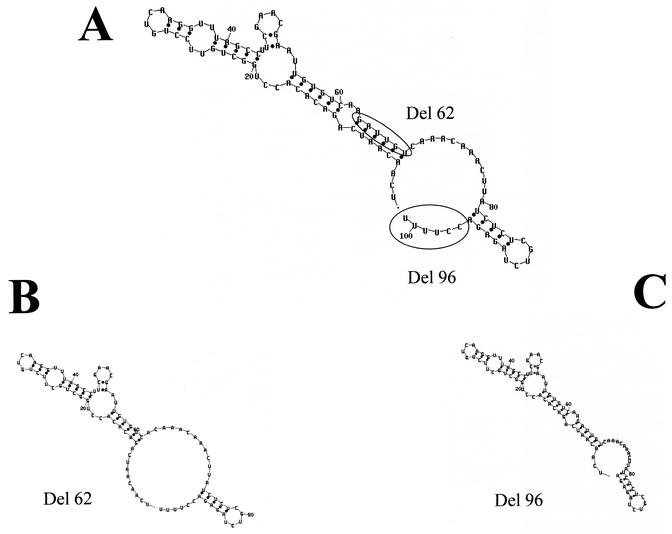 FIG. 6.