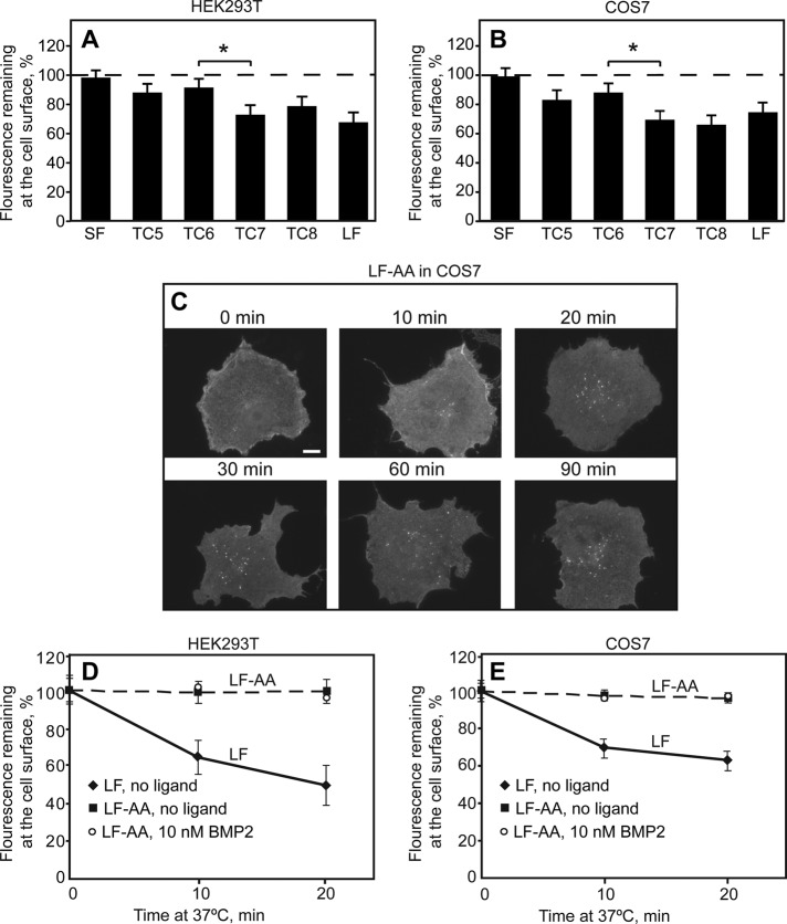 FIGURE 6: