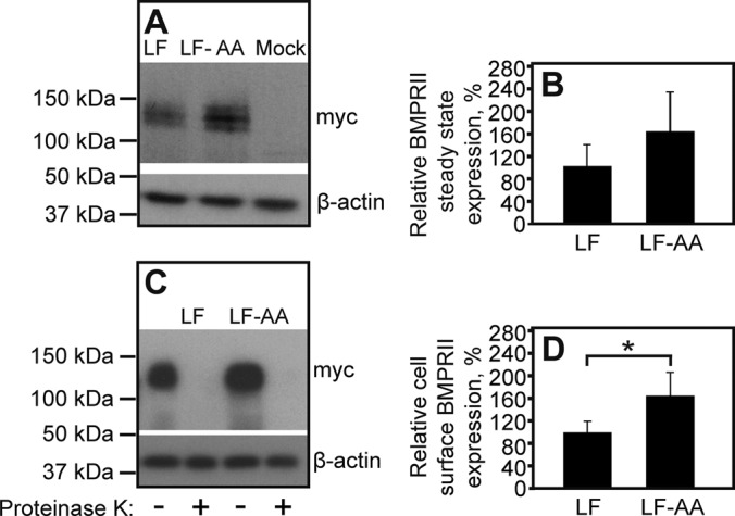 FIGURE 7: