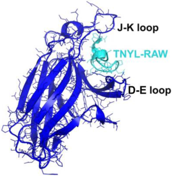 Figure 2.