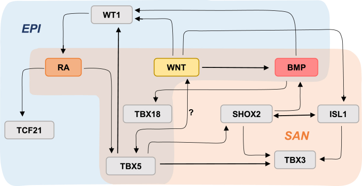 Figure 6