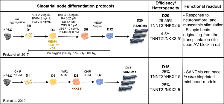 Figure 4