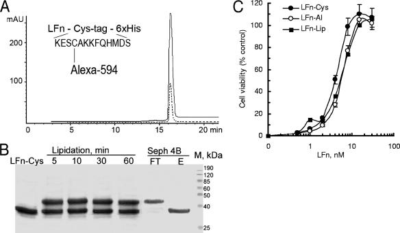 FIG. 1.