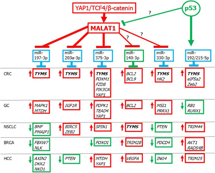 Fig. 3 