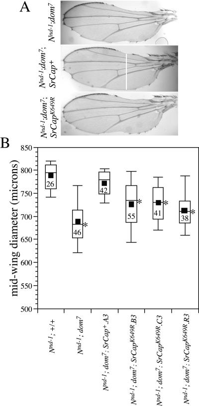 FIG. 5.