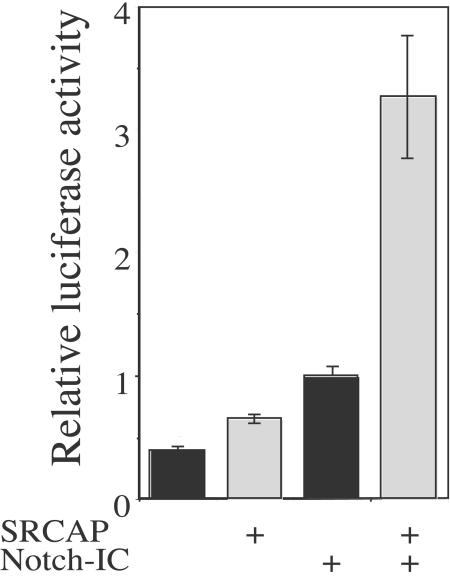 FIG. 6.