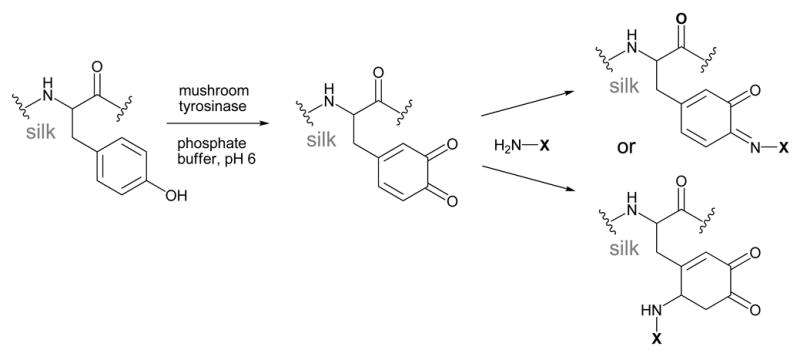 Scheme 6