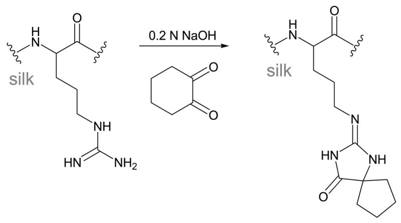 Scheme 3