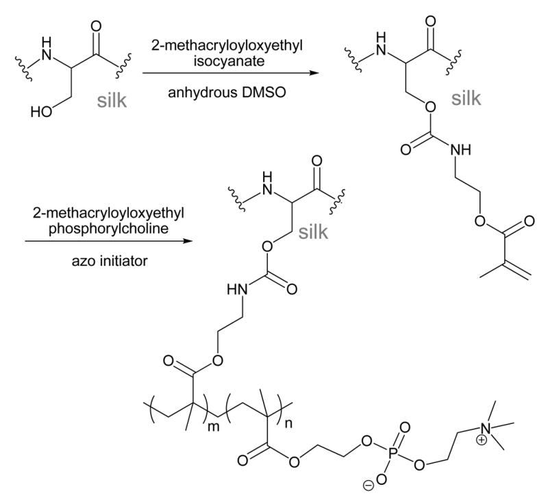 Scheme 7