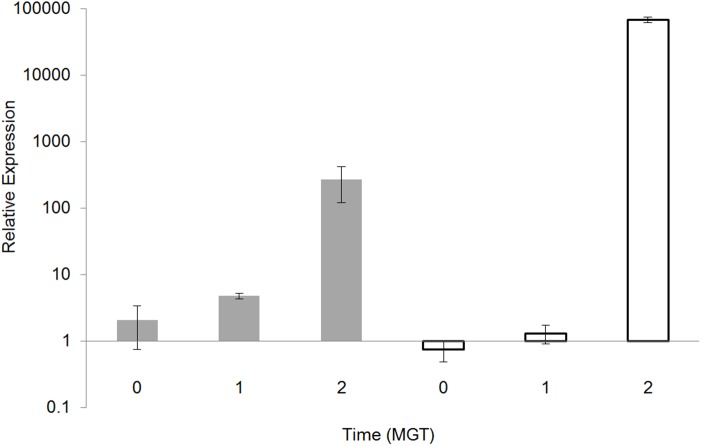 Fig 3