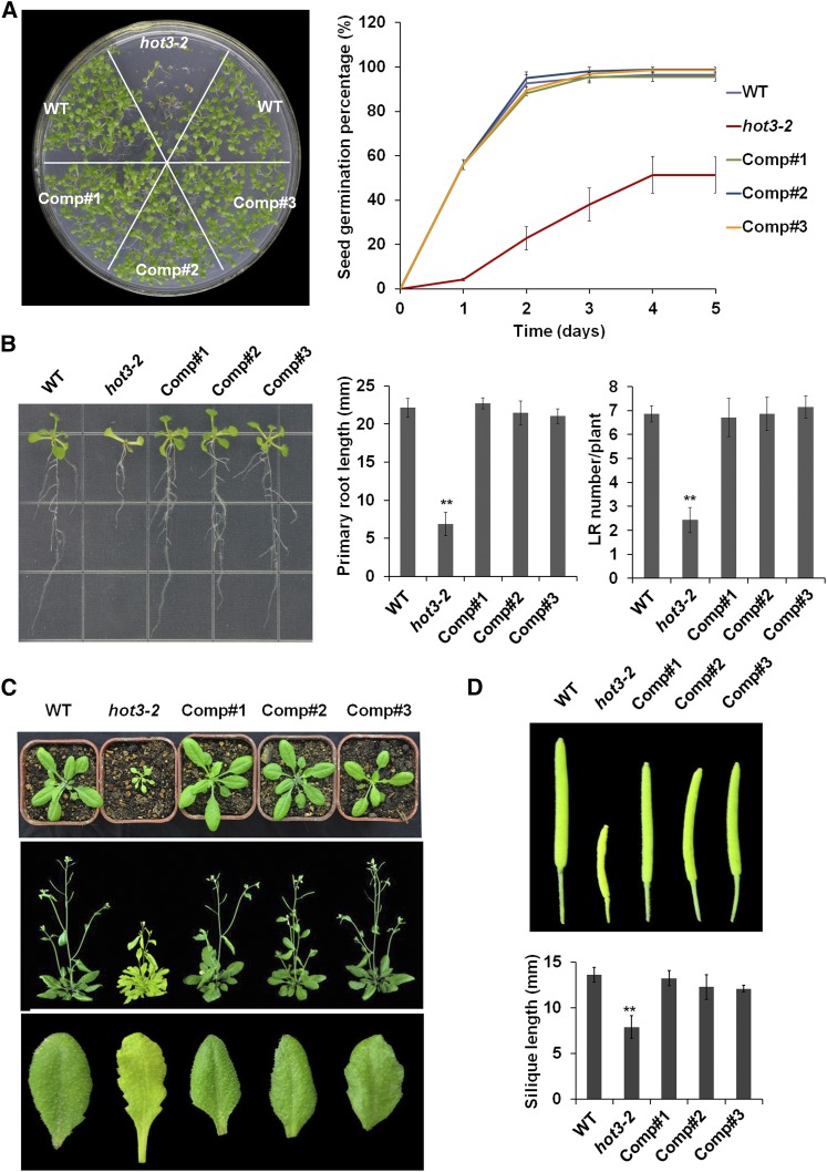 Figure 2.