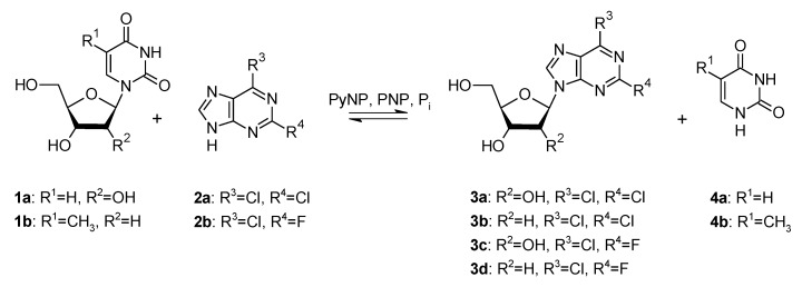 Scheme 1