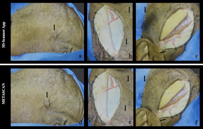 Fig. 1