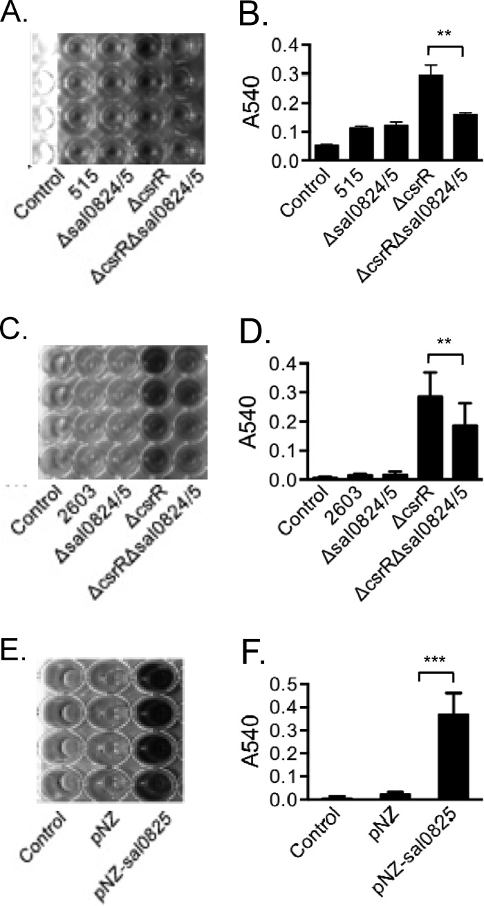 FIG 5