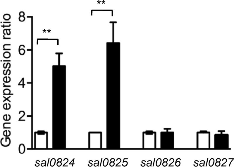 FIG 2