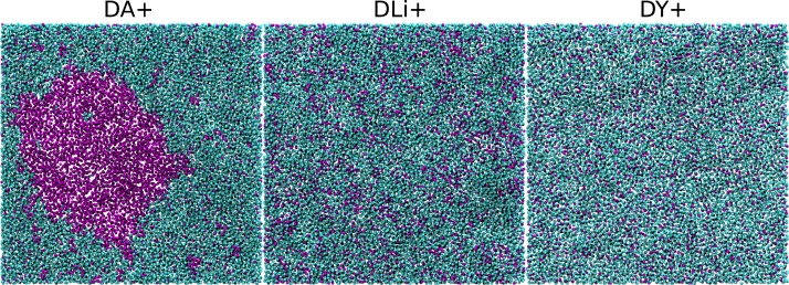 Figure 2—figure supplement 1.