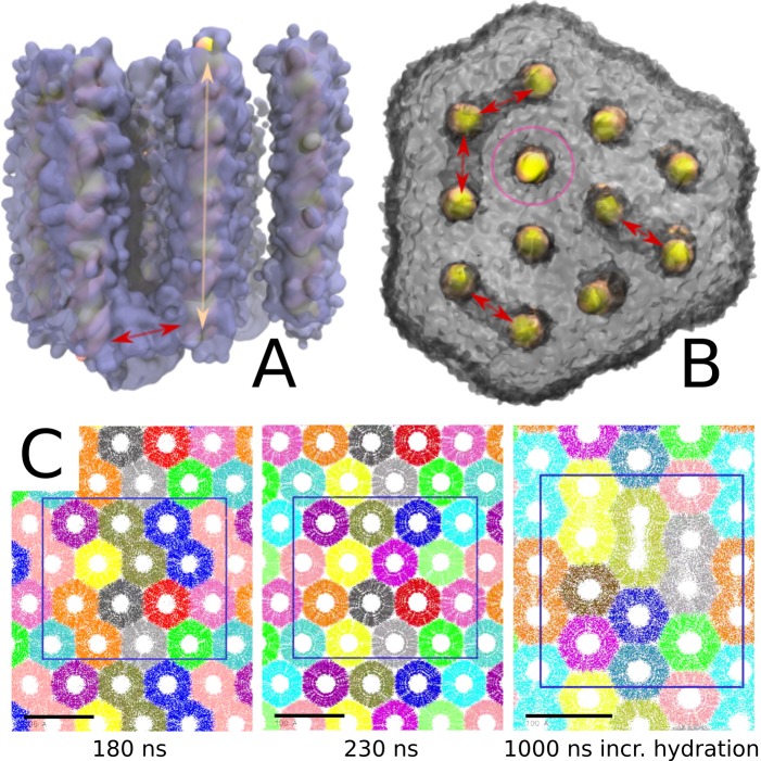 Figure 4—figure supplement 1.