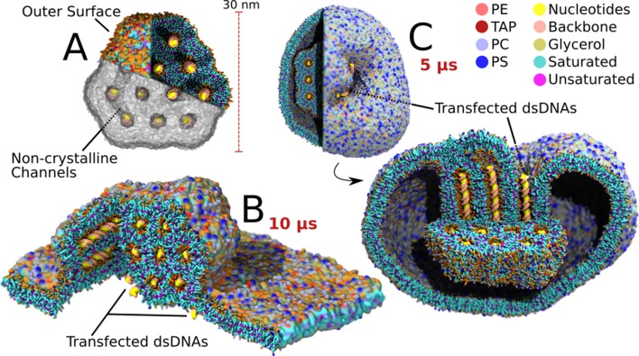 Figure 4.