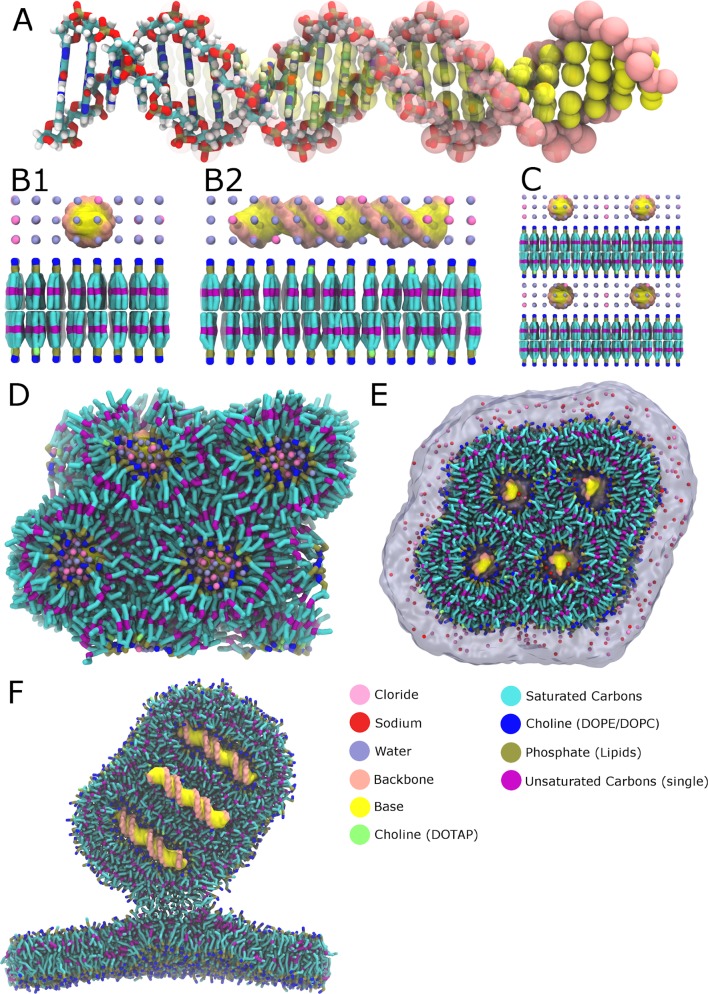 Figure 1—figure supplement 1.