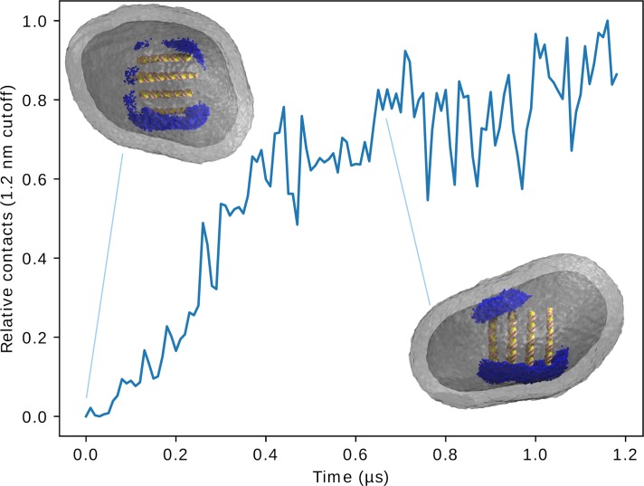 Figure 4—figure supplement 2.