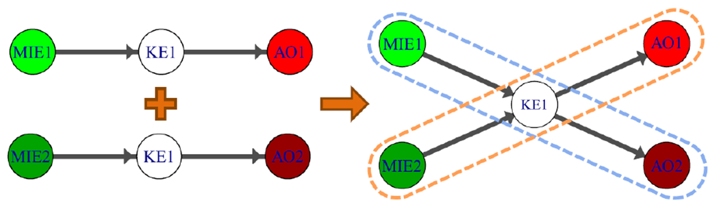 Figure 1: