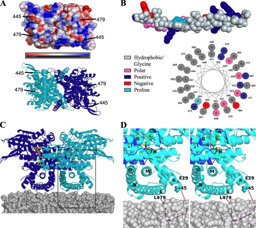 FIGURE 4.