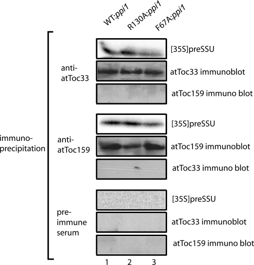 FIGURE 9.