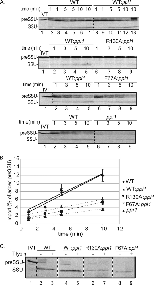 FIGURE 6.