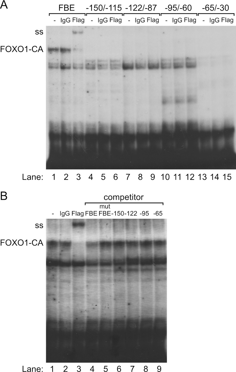 FIGURE 7.