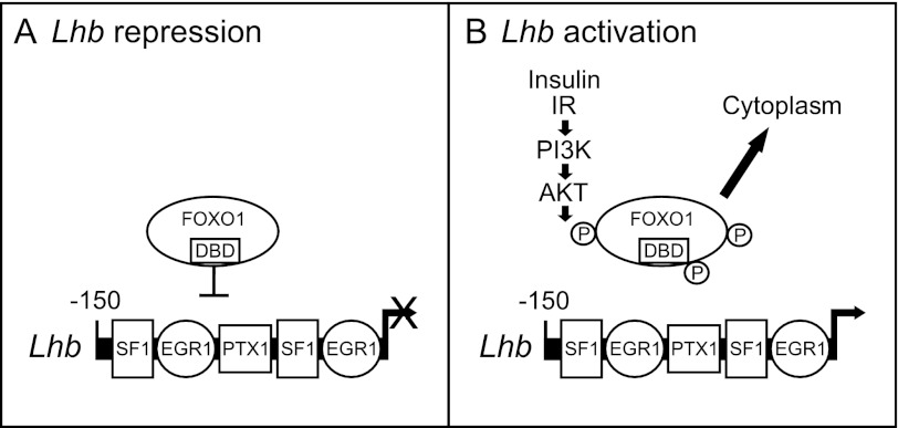 FIGURE 10.