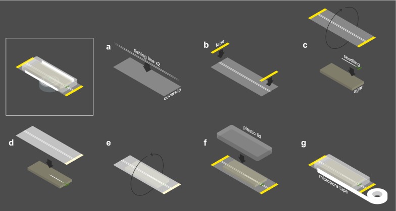 Fig. 2