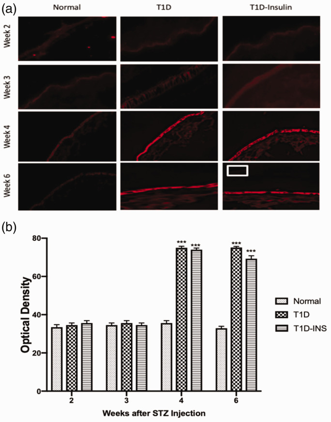 Figure 4.