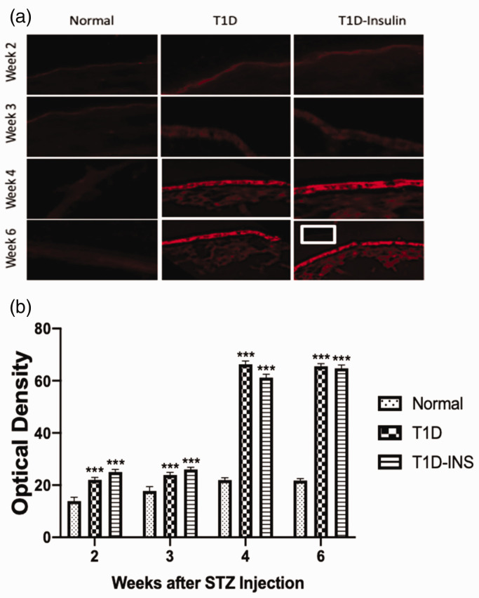 Figure 5.