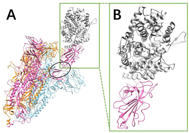 Figure 1.