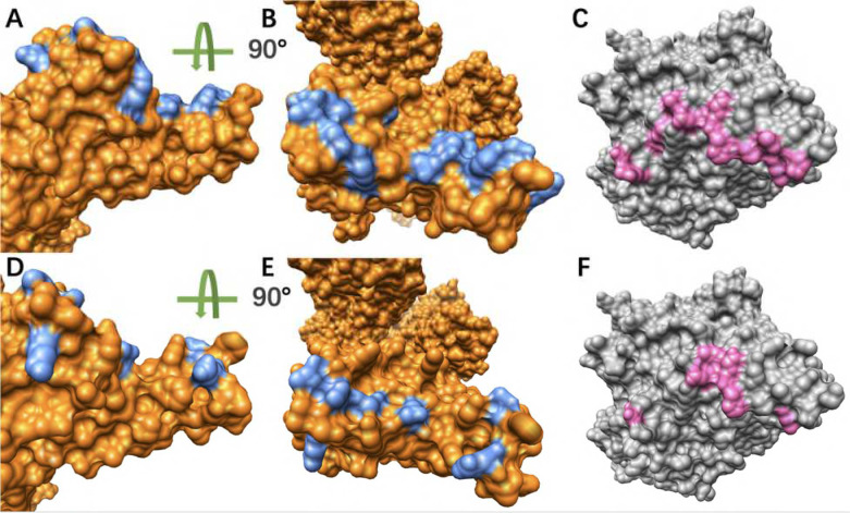 Figure 6.