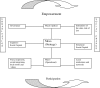 FIGURE 2.