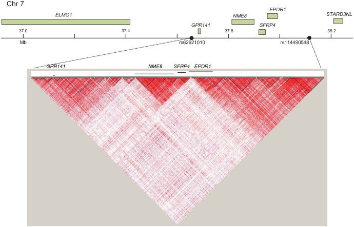 Fig 3