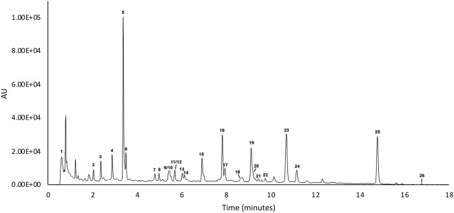 FIGURE 1