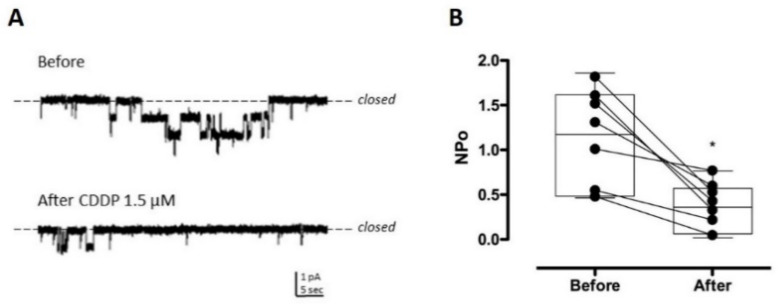 Cisplatin Decreases ENaC Activity Contributing to Renal Salt Wasting ...