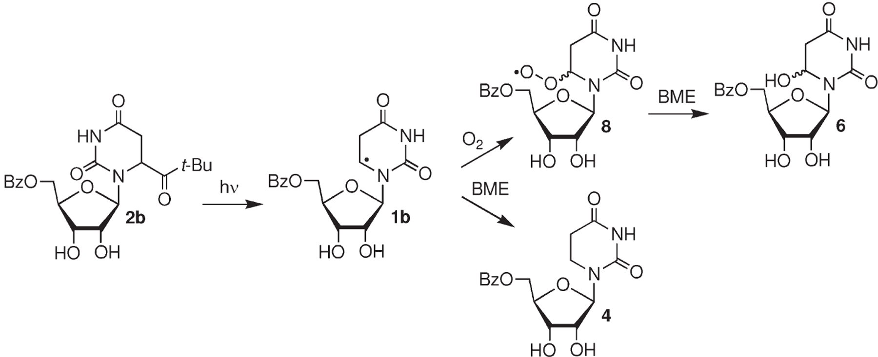 Scheme 3.