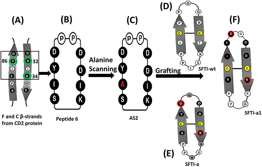 FIGURE 1.